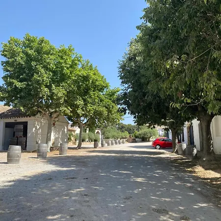 Villa Masia Moreras Autenticidad Renovada 100 Porcien A 10 Minutos De Sitges En Coche 12 Huespedes Piscina Aire Aconc 6 Apertura 15 Julio 2025